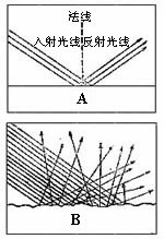 原理图